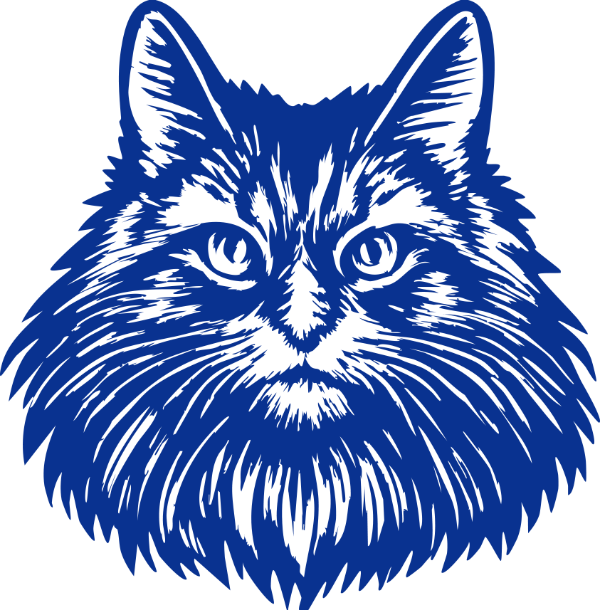 Young Hiker's Society